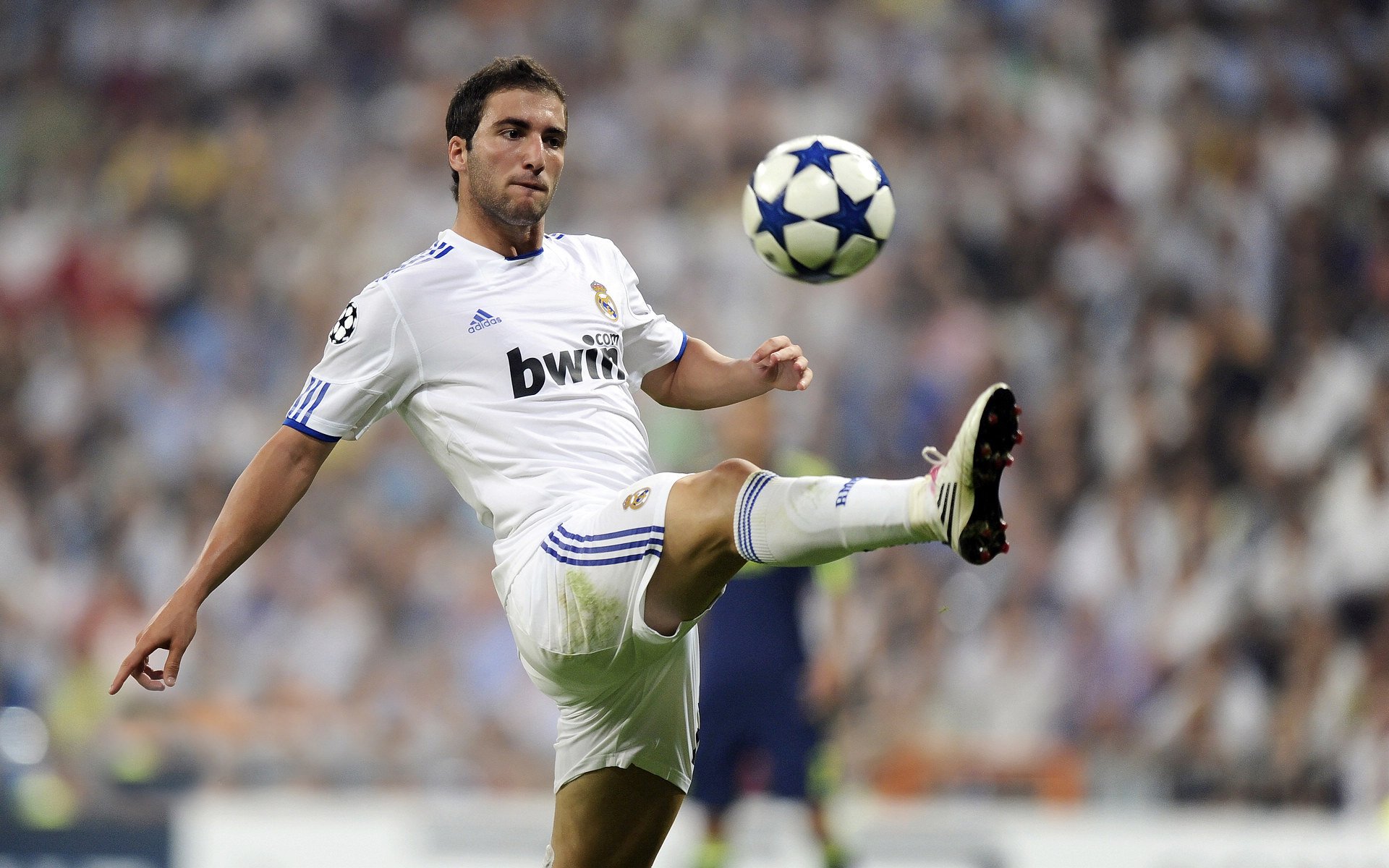 哈弗茨的牙买加节奏，当德意志精密遇上加勒比野性